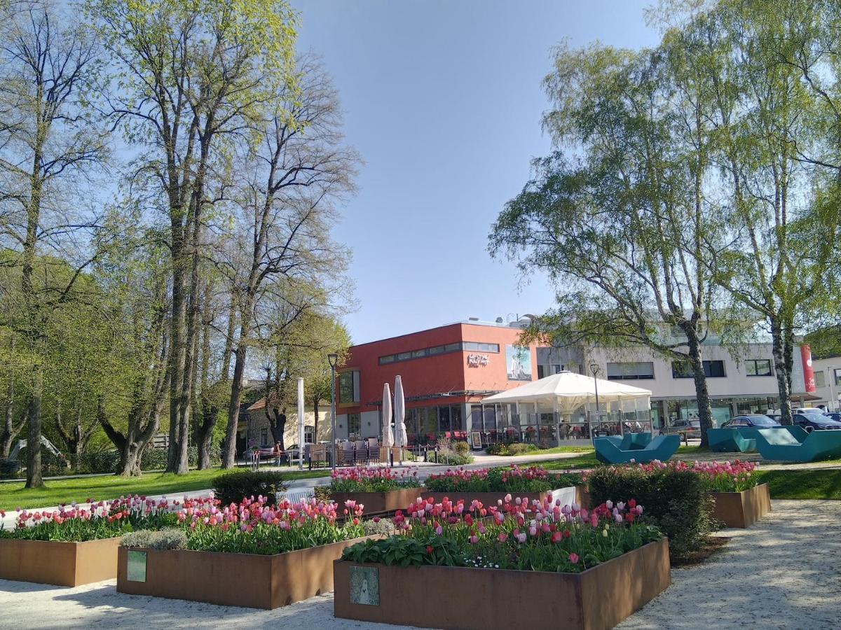 Apartment 3 Gaeste Schorfling Bagian luar foto