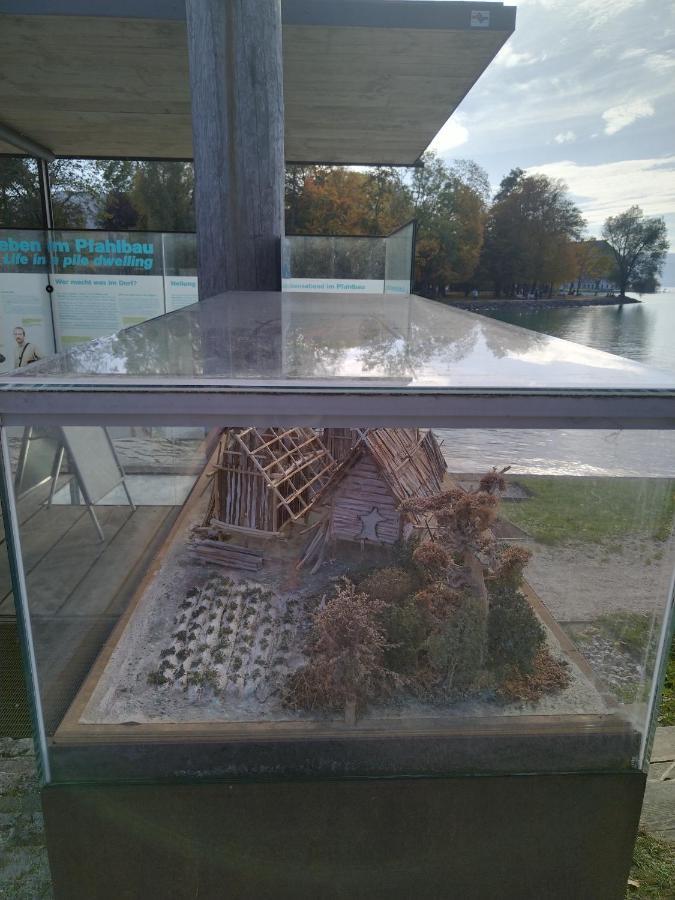 Apartment 3 Gaeste Schorfling Bagian luar foto